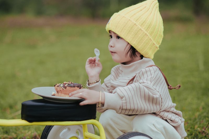 Gourmet picnics